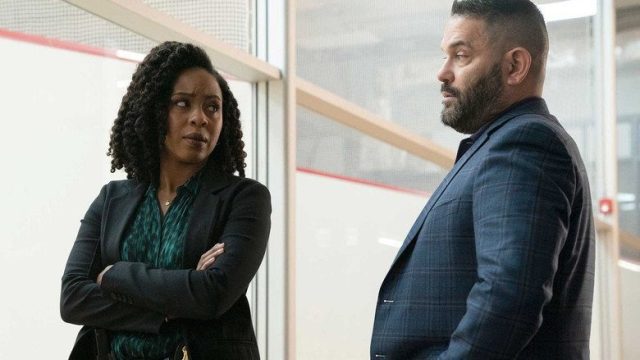 La ley y el orden: crimen organizado S02E06