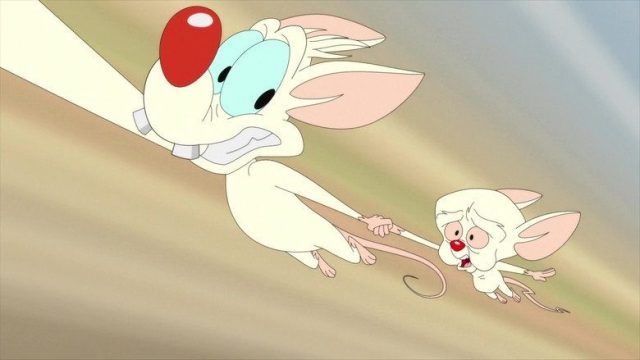 Animaniacs S02E21
