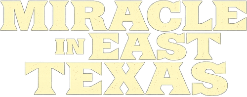 Un milagro en texas