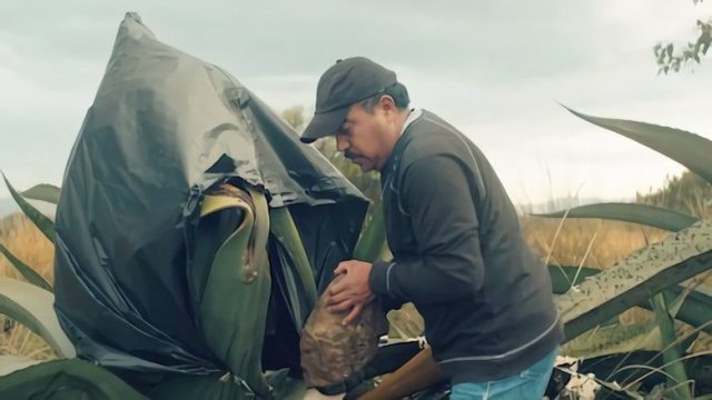 Las crónicas del taco S01E05