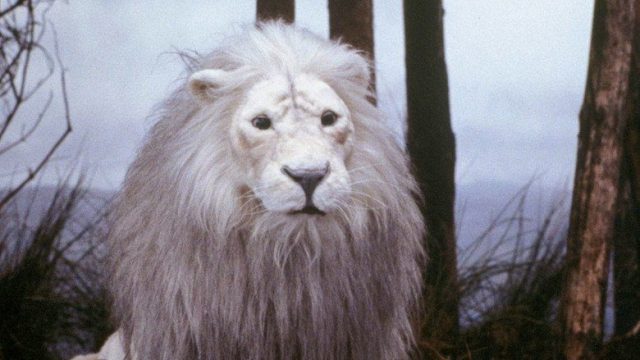 El Narrador de Cuentos S01E09