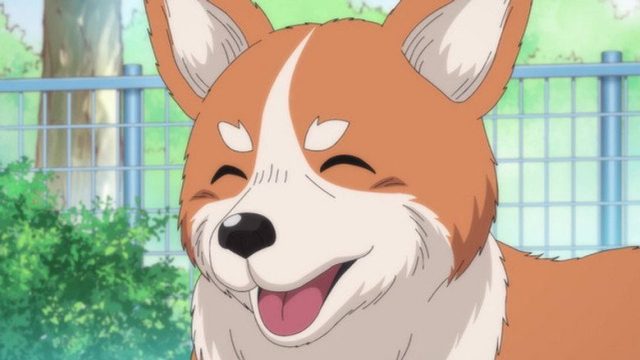Oda Cinnamon Nobunaga S01E12