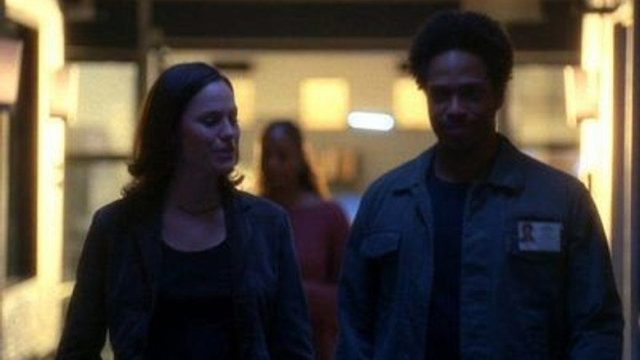 CSI: Las Vegas S04E20