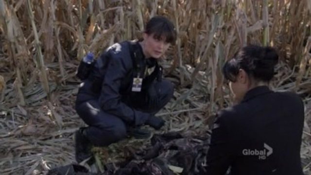 Bones S06E12