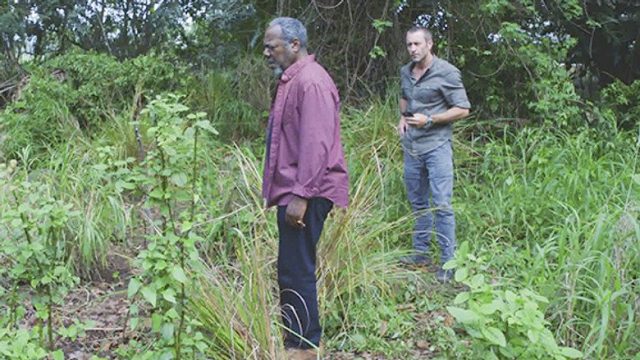 Hawaii Five-0 S08E19