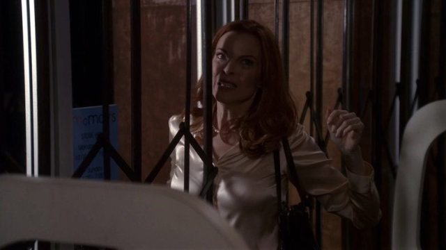 Esposas Desesperadas S02E17