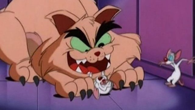 Pinky, Elvira y Cerebro S01E06