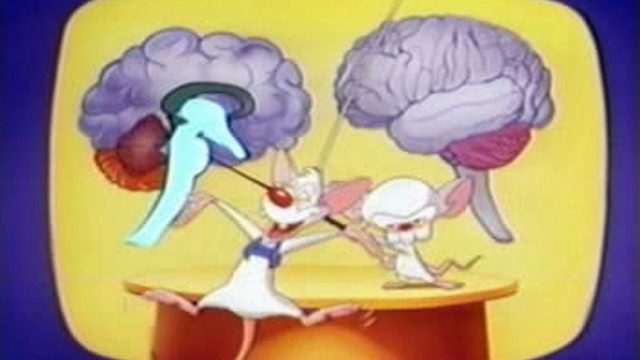Pinky y Cerebro S01E05