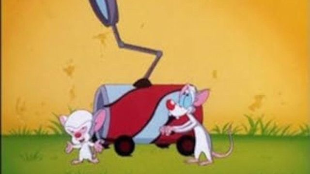 Pinky, Elvira y Cerebro S01E15