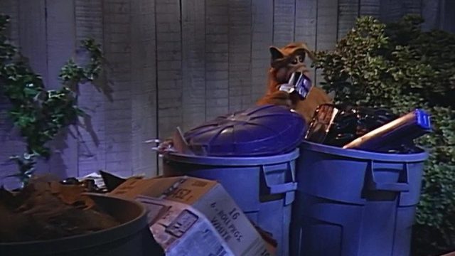 ALF S04E11