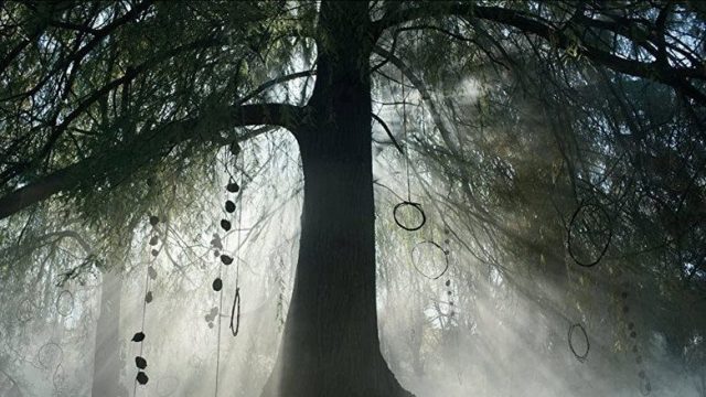 Donkerbos S01E08