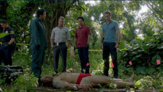 Hawaii Five-0 S02E17