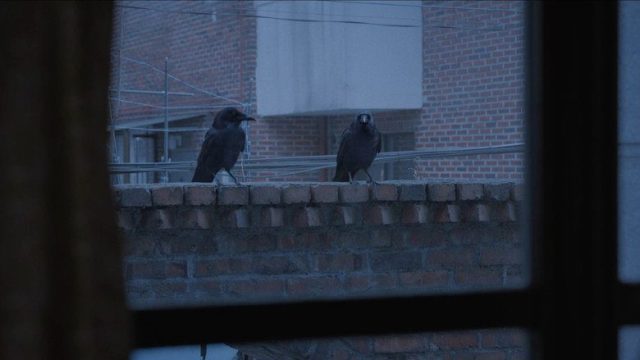 Hacemos lo que podemos S01E12