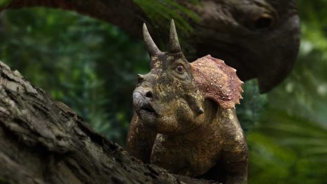Planeta prehistórico S01E05