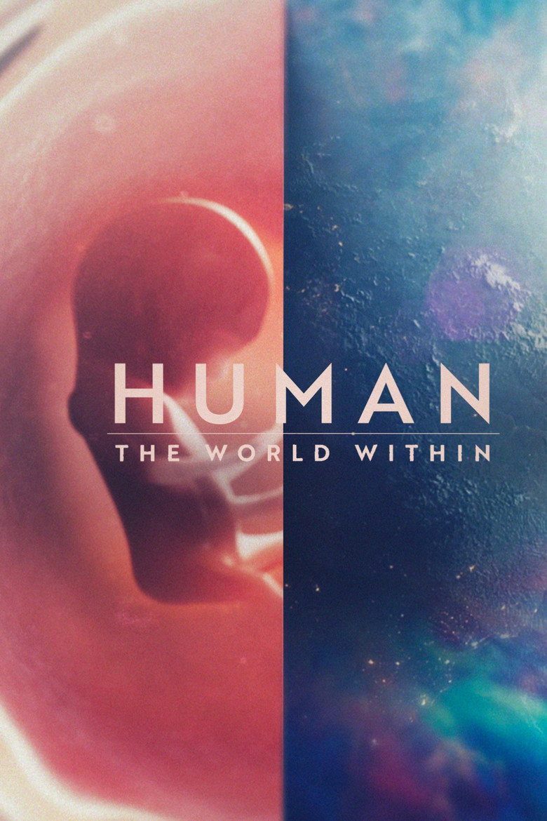 Cuerpo humano: Un mundo entrañable Temporada 1