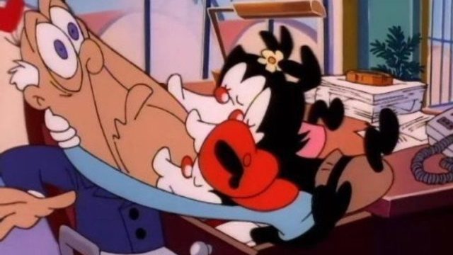 Animaniacs S01E13
