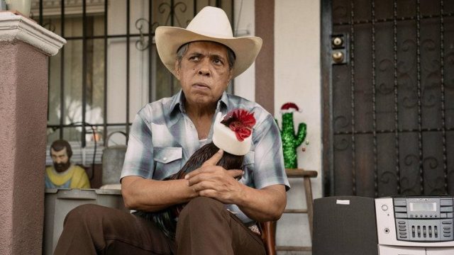 Este tonto S02E01