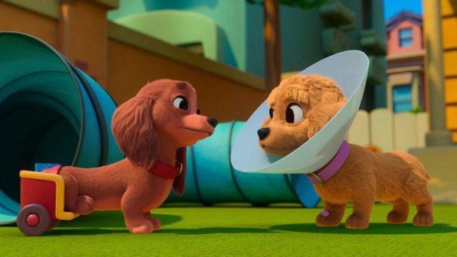 Pretzel y sus cachorros S01E04