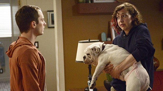 Wilfred S03E11
