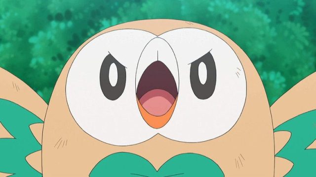 Pokémon S22E41