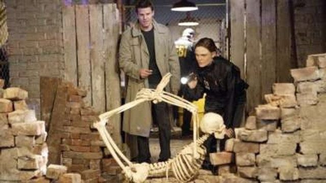 Bones S03E13