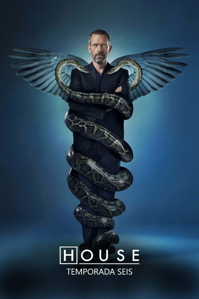 Dr. House Temporada 6