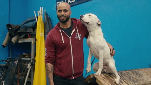 Adiestramiento canino S01E06