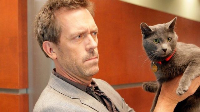 Dr. House S05E18