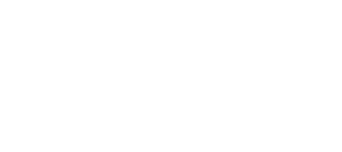 La Acompañante