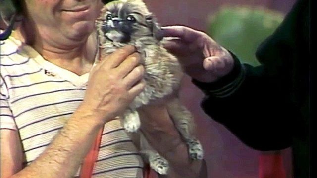El Chavo S04E44