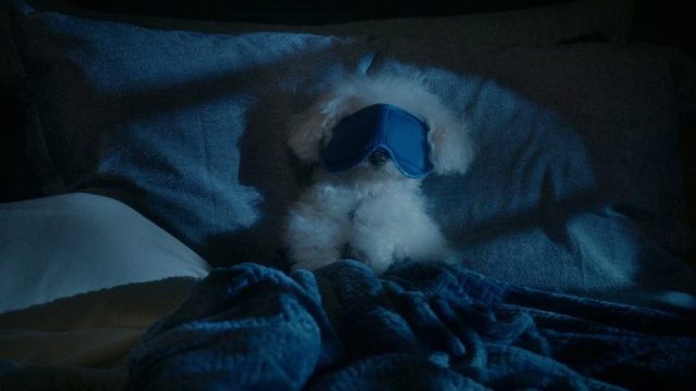 Poppa's House S01E09