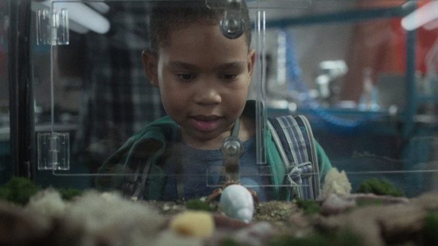 Cómo criar a un superhéroe S01E04