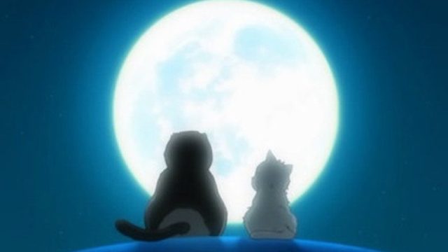 Gintama S04E41