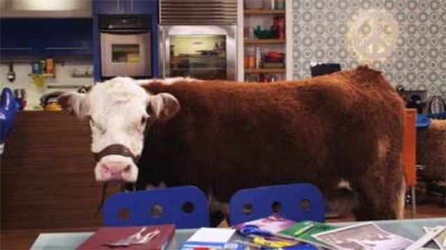 Big Time Rush S02E15