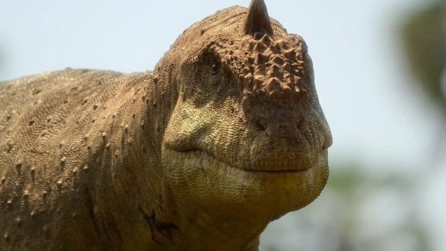 Planeta prehistórico S00E09