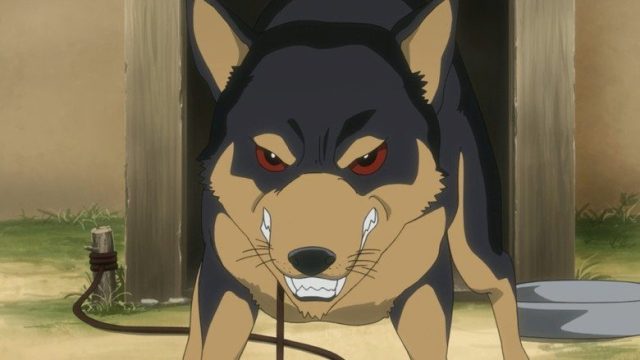 にゃんこい！ S01E02