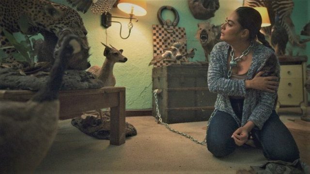 El Señor de los Cielos S08E84