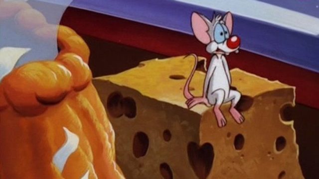 Pinky, Elvira y Cerebro S01E04