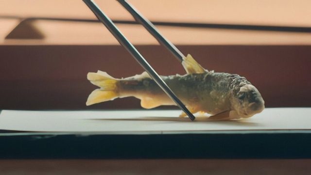 Las crónicas del taco S02E07