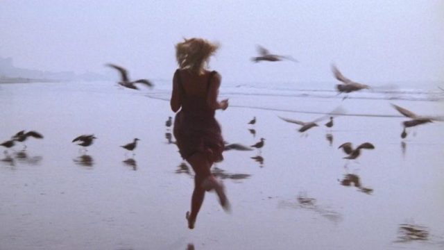 Baywatch: Guardianes de la Bahía S04E22