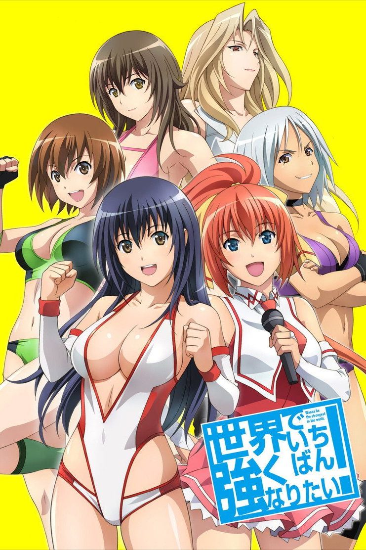 Sekai de Ichiban Tsuyoku Naritai! Temporada 1