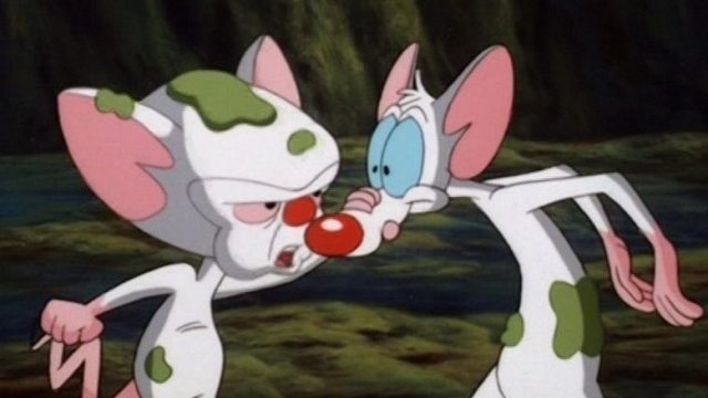 Pinky, Elvira y Cerebro S01E01