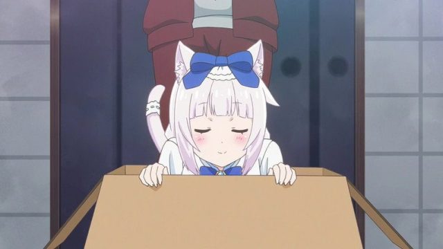 Nekopara S01E10