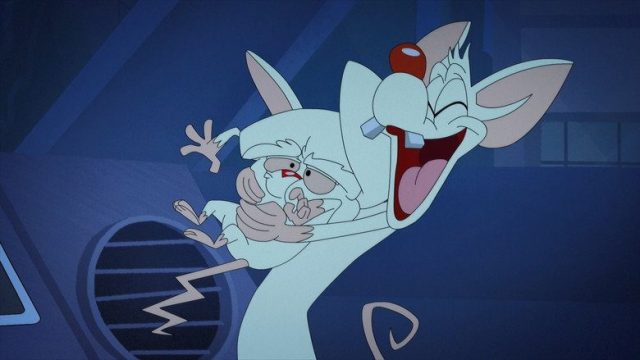 Animaniacs S01E41