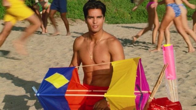 Baywatch: Guardianes de la Bahía S08E19