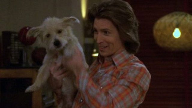El Show de los 70's S08E20