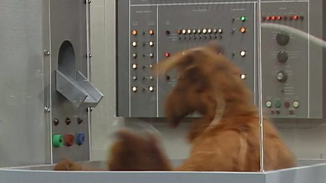 ALF S02E24