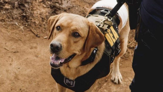 Hawaii Five-0 S08E02