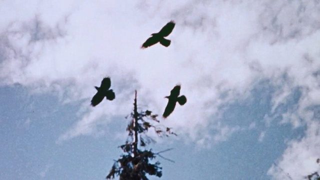 La familia Ingalls S01E20