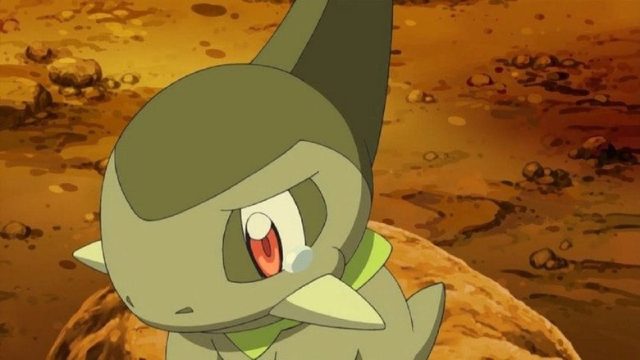 Pokémon S16E08